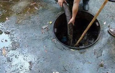   海南省农村卫生厕所覆盖率达98.8％ 粪污堆积未及时清理开展整改工作